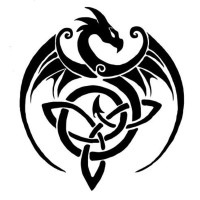 Draconis Consulting