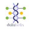 DataHelix logo - Similar company to Datahelix