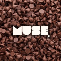 MUSE Dubai logo - Similar company to Beyond Borders Consulting