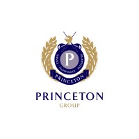 The Princeton Group - Cape Town logo - Similar company to Compass Tactical