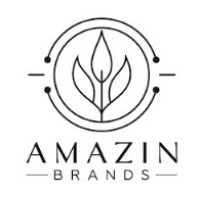 Amazin Brands logo - Similar company to Amazing Brands
