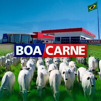 Indústria Frigorífica Boa Carne logo - Similar company to Csa Engenharia