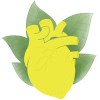 ALIMON logo - Similar company to Matiz Concept Sl
