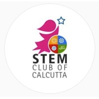 STEM Simplified logo - Similar company to A Turkish Mosaic