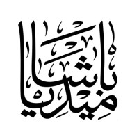 Basha Media Productions logo - Similar company to Android Basha