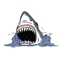 Mighty Fish Digital