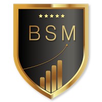 BSM BIG SOCIAL MEDIA PVT LTD logo - Similar company to The Craftee