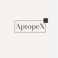 Aptopex Pvt Ltd logo - Similar company to Iconify