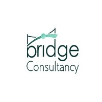 Bridge Investment Consultancy logo - Similar company to Nguc