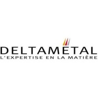 DELTA METAL logo - Similar company to Scanopy