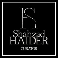 Shahzad HAIDER logo - Similar company to Kallpa Global