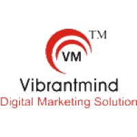 Vibrantmind Digital Marketing Solution Pvt.Ltd. logo - Similar company to Vibrantminds Technologies Pvt Ltd