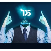 TDS Capital Group logo - Similar company to Tds Capital