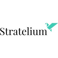 Stratelium.com logo - Similar company to Conseil En Amélioration De Résultats Pour Entreprises Et Associationsfab Conseil