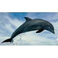 DOLMEN SRL logo - Similar company to Dolmen Srl