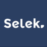 Selek Group logo - Similar company to Magin Group Co., Limited