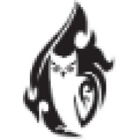 Flare Insight, Inc.