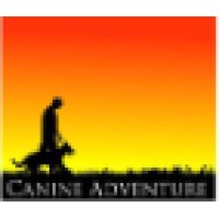 Canine Adventure