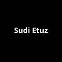 sudietuz logo - Similar company to Selmacilek