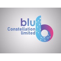 Blu Constellation Nigeria Limited logo - Similar company to Fixas Lab Technologies