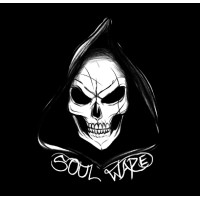 Soulware logo - Similar company to Everstar Studio