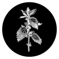 Revista Vento E Água - Ritmos Da Terra