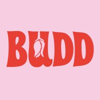 Budd Content Creators