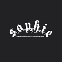 The Sophie Lancaster Foundation logo - Similar company to Stop Hate Uk