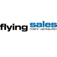 Online Marketing und SEO - Norman Irion - FlyingSales GmbH logo - Similar company to Ju Moment
