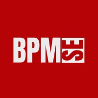 BPM-SE logo - Similar company to Plugia
