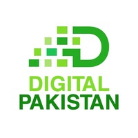 Digital Pakistan logo - Similar company to We Mayd It