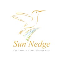 Sun Ndege logo - Similar company to Frutunda