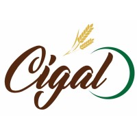 Cigal logo - Similar company to Mapi-On S.N.C.