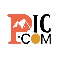 Pic de Com logo - Similar company to Avangardism