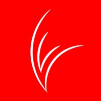 Visão Vermelha Media logo - Similar company to Bdc Outsourcing