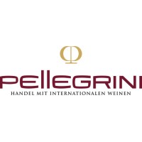 Stephan Pellegrini GmbH logo - Similar company to Prones Automation Gmbh