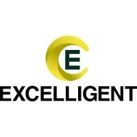 Excelligent Corporate Services Pvt Ltd logo - Similar company to Excelligent Group
