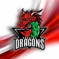 Steel 4 Structures Deeside Dragons Ice Hockey Club logo - Similar company to Solway Sharks Ice Hockey Club