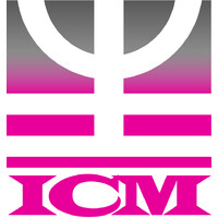 Icm Consulting