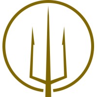 Nethuns logo - Similar company to Maritime Casualty Specialists