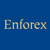 Enforex - Learn Spanish in Spain and Latin America logo - Similar company to Bls Idiomas