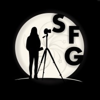 HKSFG (Hong Kong Secondary-school Film Group) logo - Similar company to Pd Stem Education