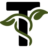 Trellis Talent logo - Similar company to Soothe
