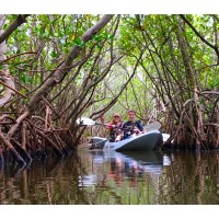 Fin Expeditions