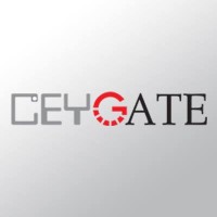 Ceygate Inc. logo - Similar company to Linus Learning