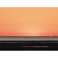 Orange Horizon