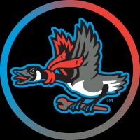 Beloit Sky Carp - Gateway Professional Baseball, LLC logo - Similar company to Cedar Rapids Kernels