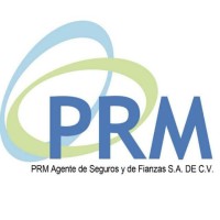 PRM AGENTE DE SEGUROS Y DE FIANZAS logo - Similar company to Lixxa Consulting