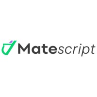 Matescript logo - Similar company to Havrion