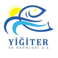 Yiğiter Su Ürünleri San ve Tic A.Ş. logo - Similar company to Albalık Seafood Company